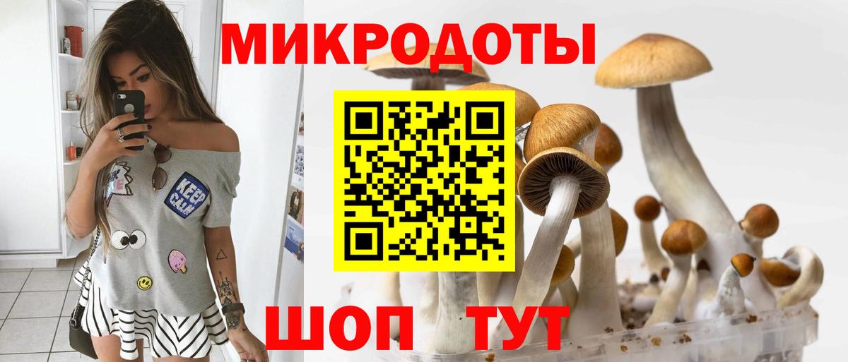 Нижнекамск  Галлюциногенные грибы мухоморы  Псилоцибиновые грибы Magic Shrooms  Вход с VPN 